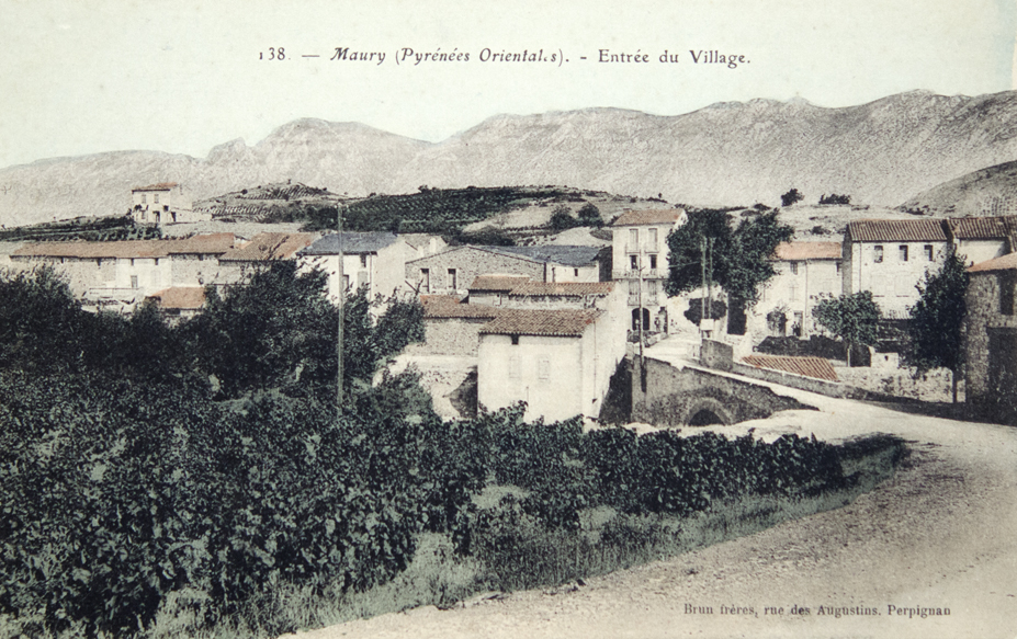 Maury. Carte postale
